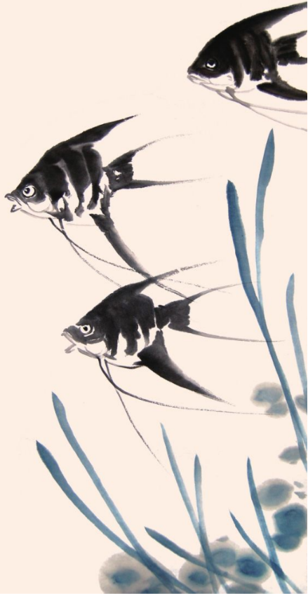 神仙鱼画法图片
