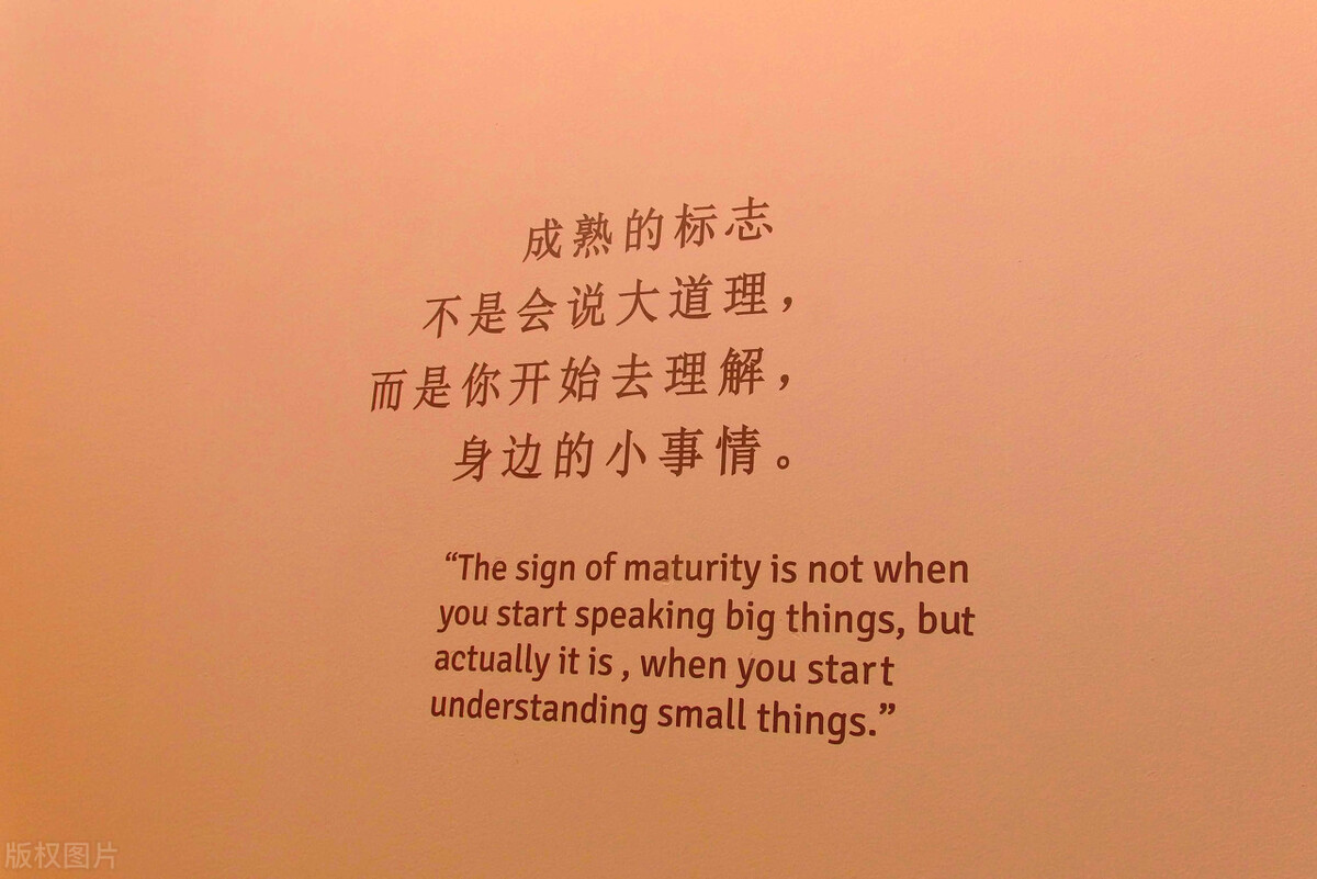 珍藏岁月里的温柔低语：那些年，我们共同分享的唯美瞬间