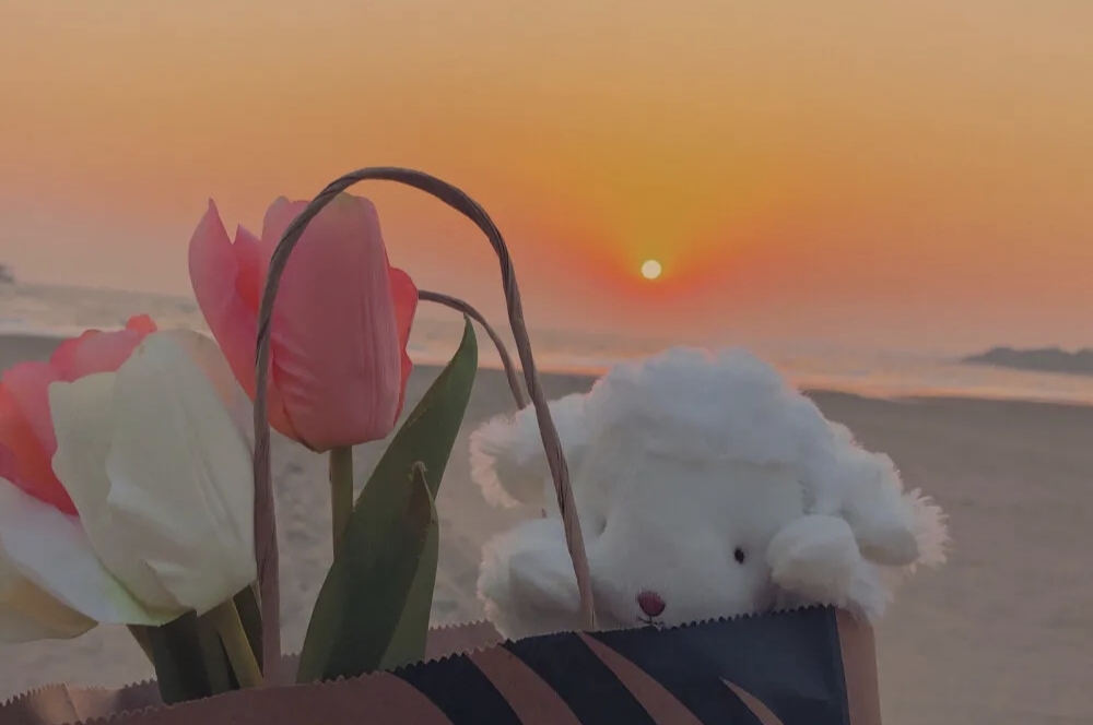 个人微信公众号怎么申请注册（适合所有人的公众号注册流程）