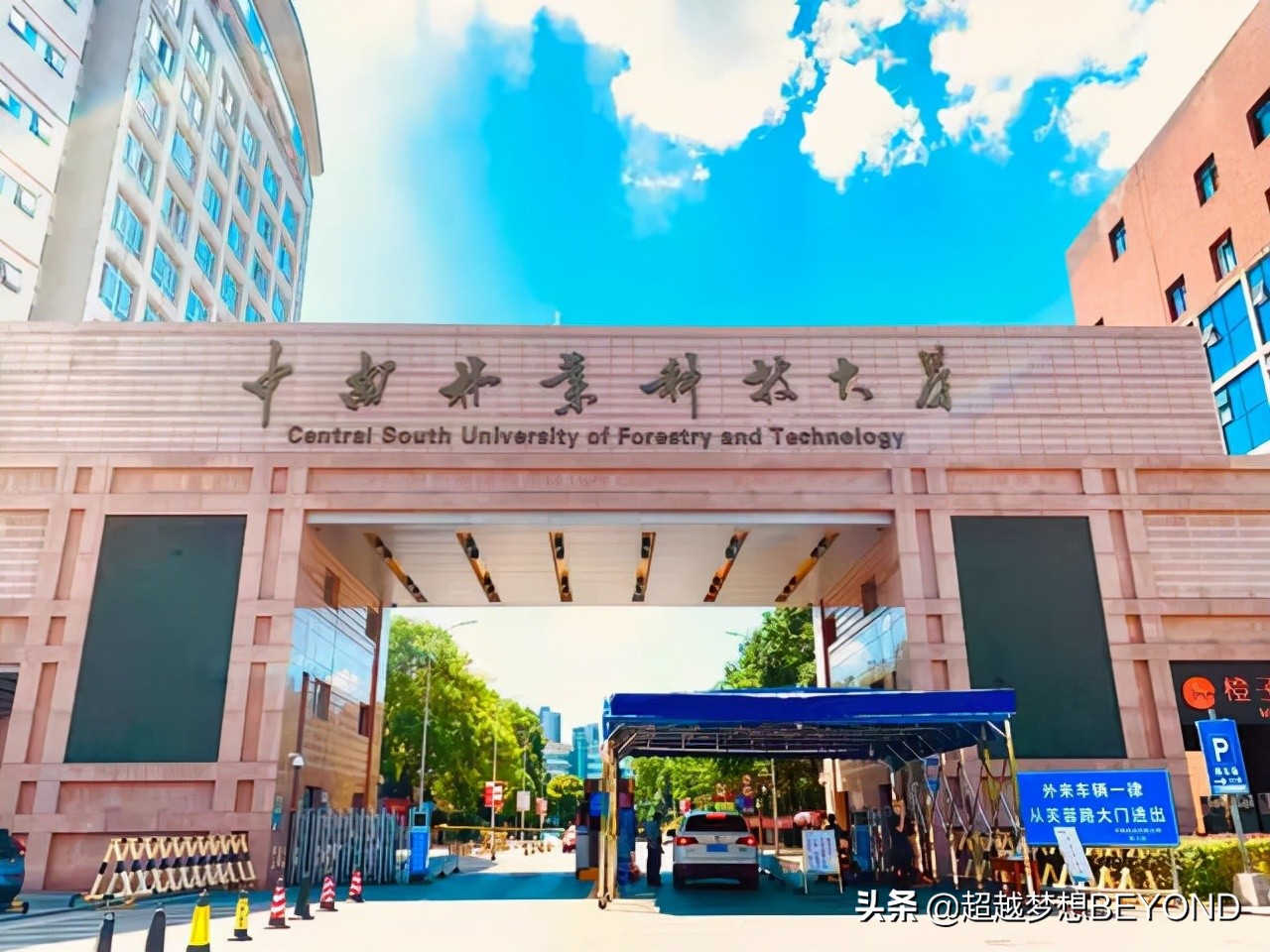 中南林业科技大学2021年各专业录取分数和位次（湖南）
