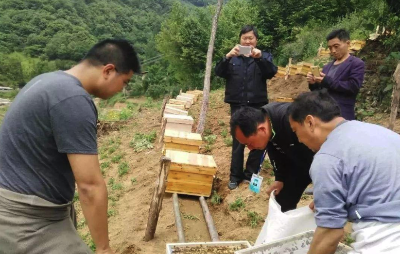 农村低保标准,农村低保标准多少钱一个月