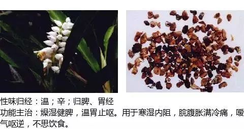 300个中草药图谱（附主治功效），知道一半就太牛了（上）