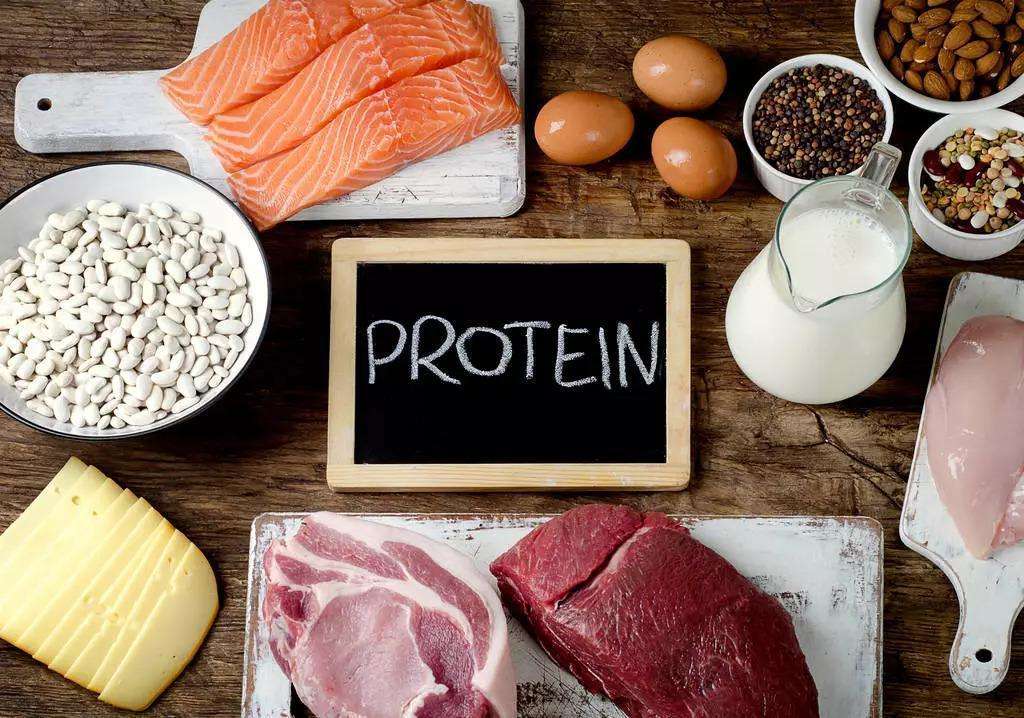 蛋白质的作用及功能,蛋白质的作用及功能是什么