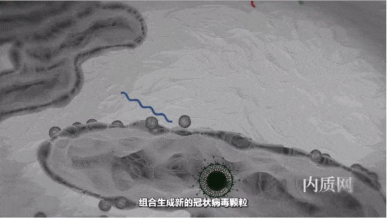 2020最新语文高考满分作文时事热点：抗疫前线外，我们能做什么？