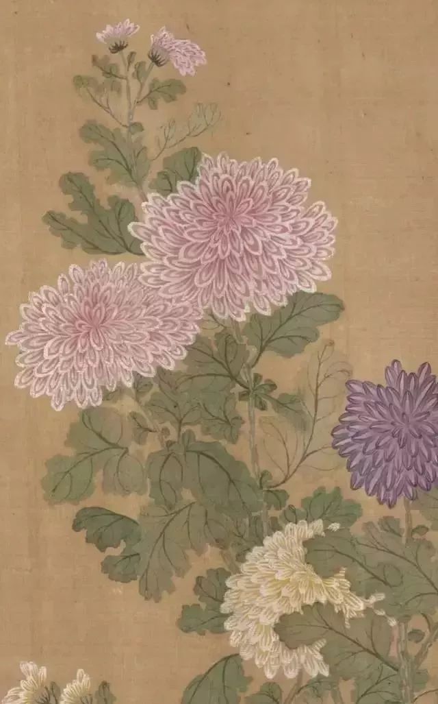 书画收藏里的这些“黑话”你都懂吗？看完这些你也能成收藏专家