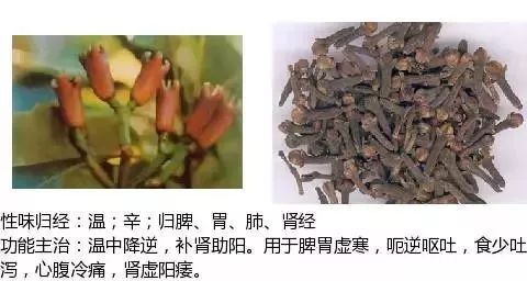 300个中草药图谱（附主治功效），知道一半就太牛了（上）