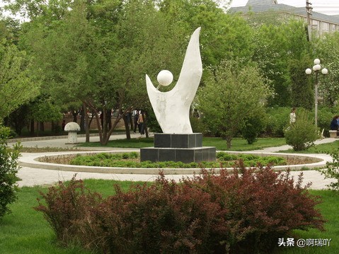 高考报考：西北五省各高校录取分数汇总，考生家长收藏