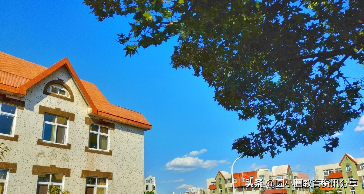 2021年高考 青岛大学2020年在山东分专业录取情况（上）