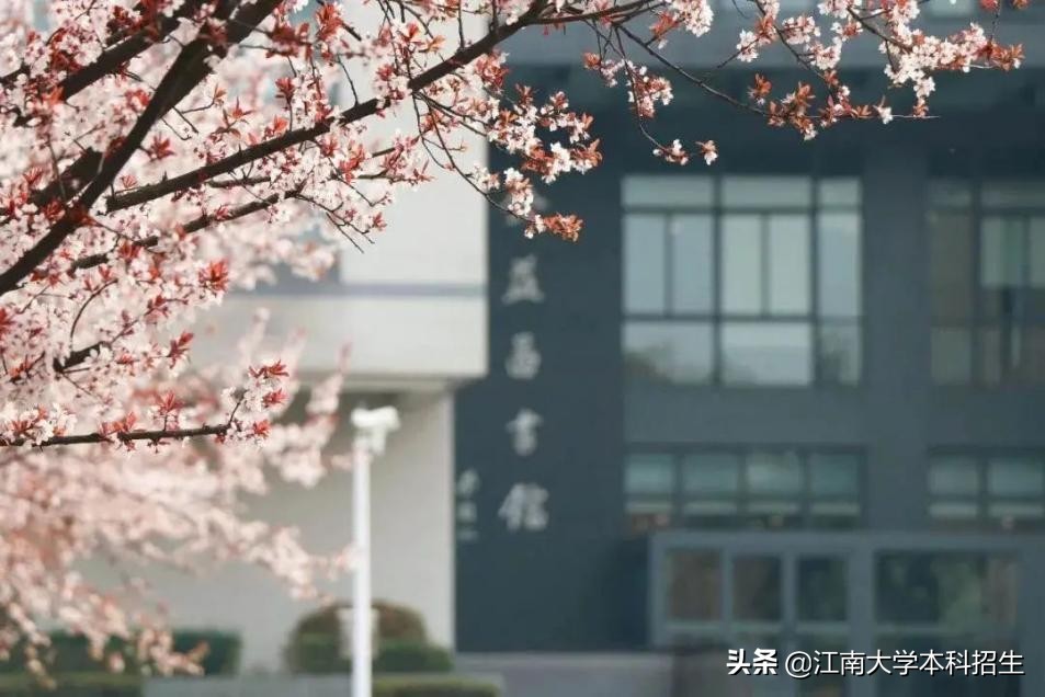 中国“最美”大学之一！占地3250亩，分布10万余棵植物，上学就像度假！