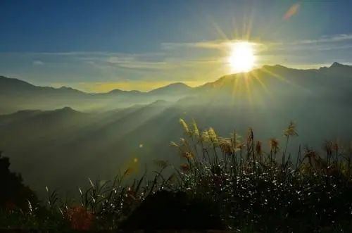 拓新教育 | 佛山市顺德区龙江外国语学校教育品牌及课程体系构建