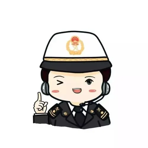 海关知识产权保护,海关知识产权保护系统查询