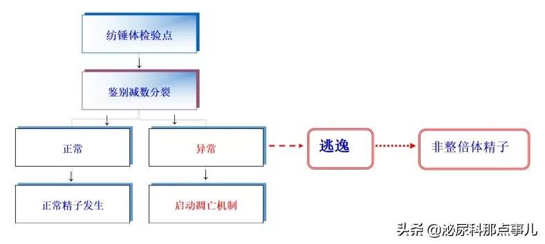妊娠失败的男性因素有哪些?