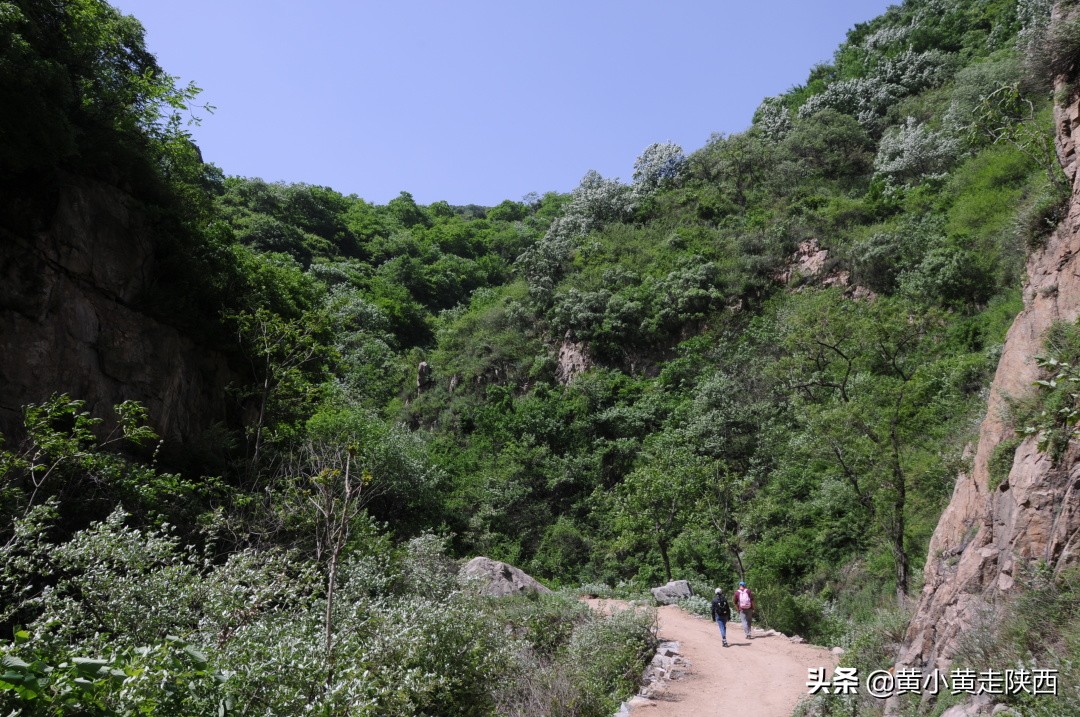 原来这便是秦岭72峪中的白石峪，藏在动物园后面，自驾车能开进山