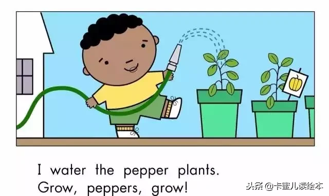 「英文有声绘本」蔬菜，快快长大《Grow,Vegetables,Grow!》
