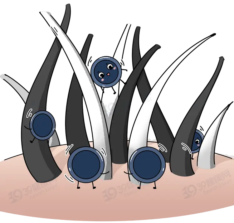 长出来的白发还能变黑吗（白头发怎么改善养出黑发）