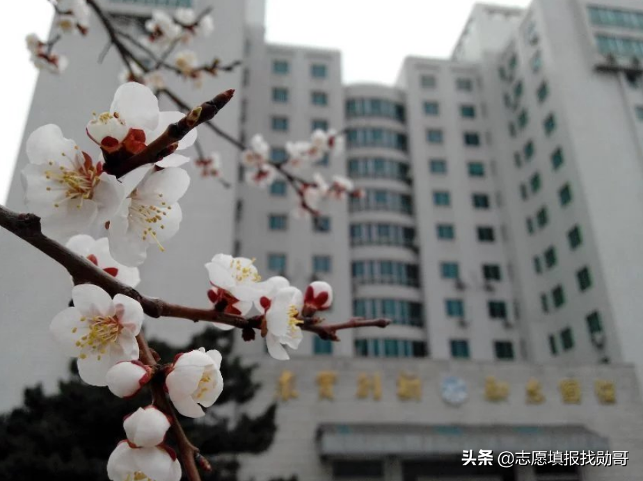 五院四系，哪家法学录取难度大？数据最全的分析来了