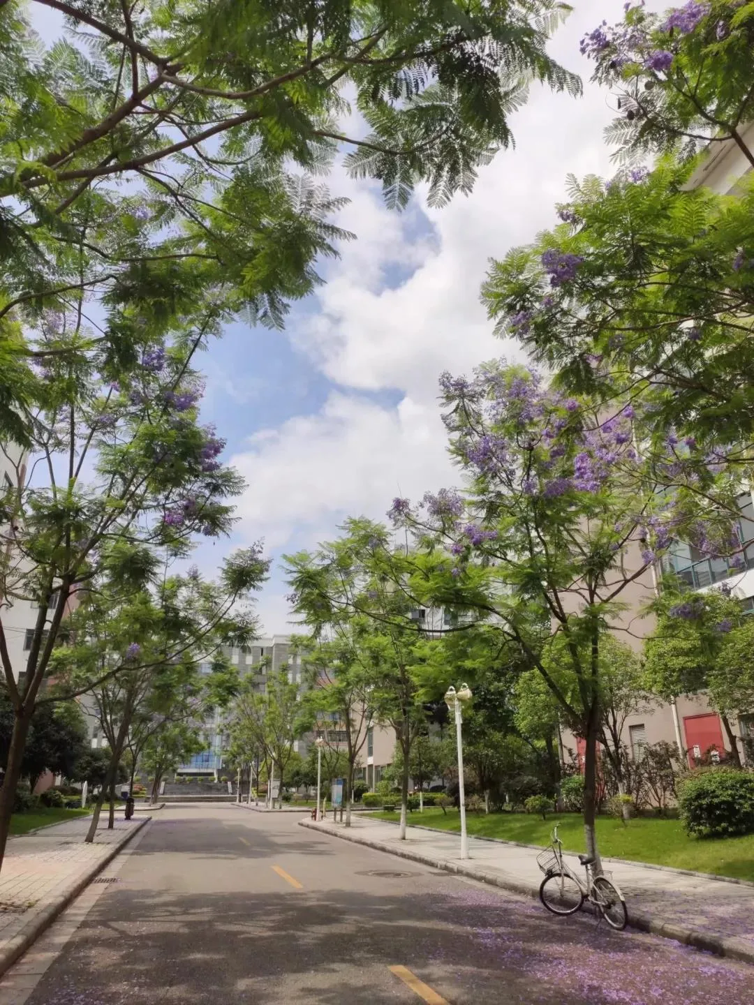 这就是桂林理工大学