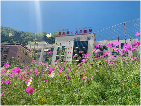 大学生心理健康案例（义诊故事）