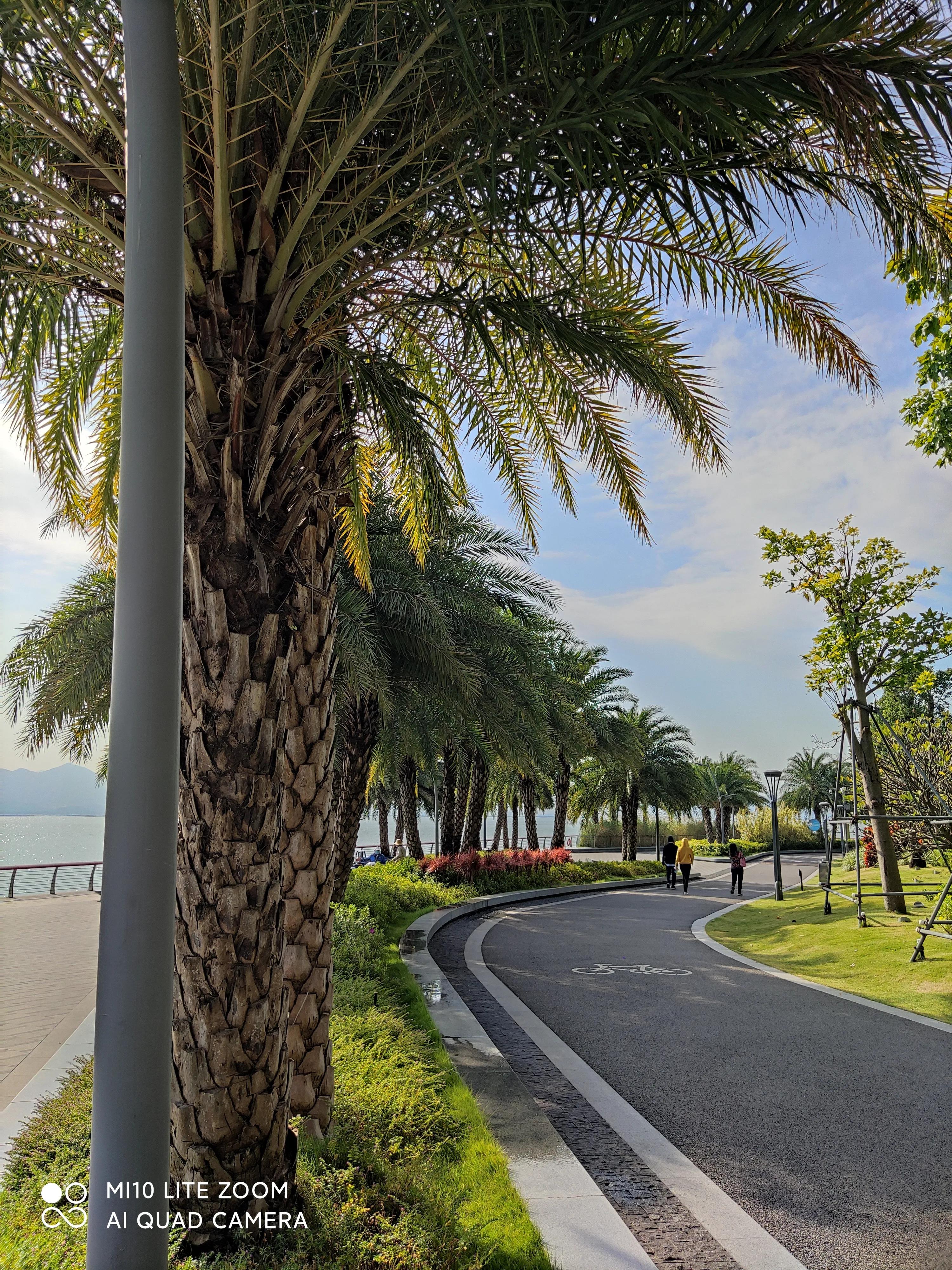 习习海风，浩瀚大海，湛蓝天空，宛延的海岸护堤，深吸一口气……