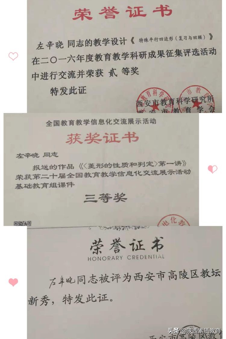 春风化雨浓 砥砺教育真——记西安市高陵区鹿苑中学教师高卓利