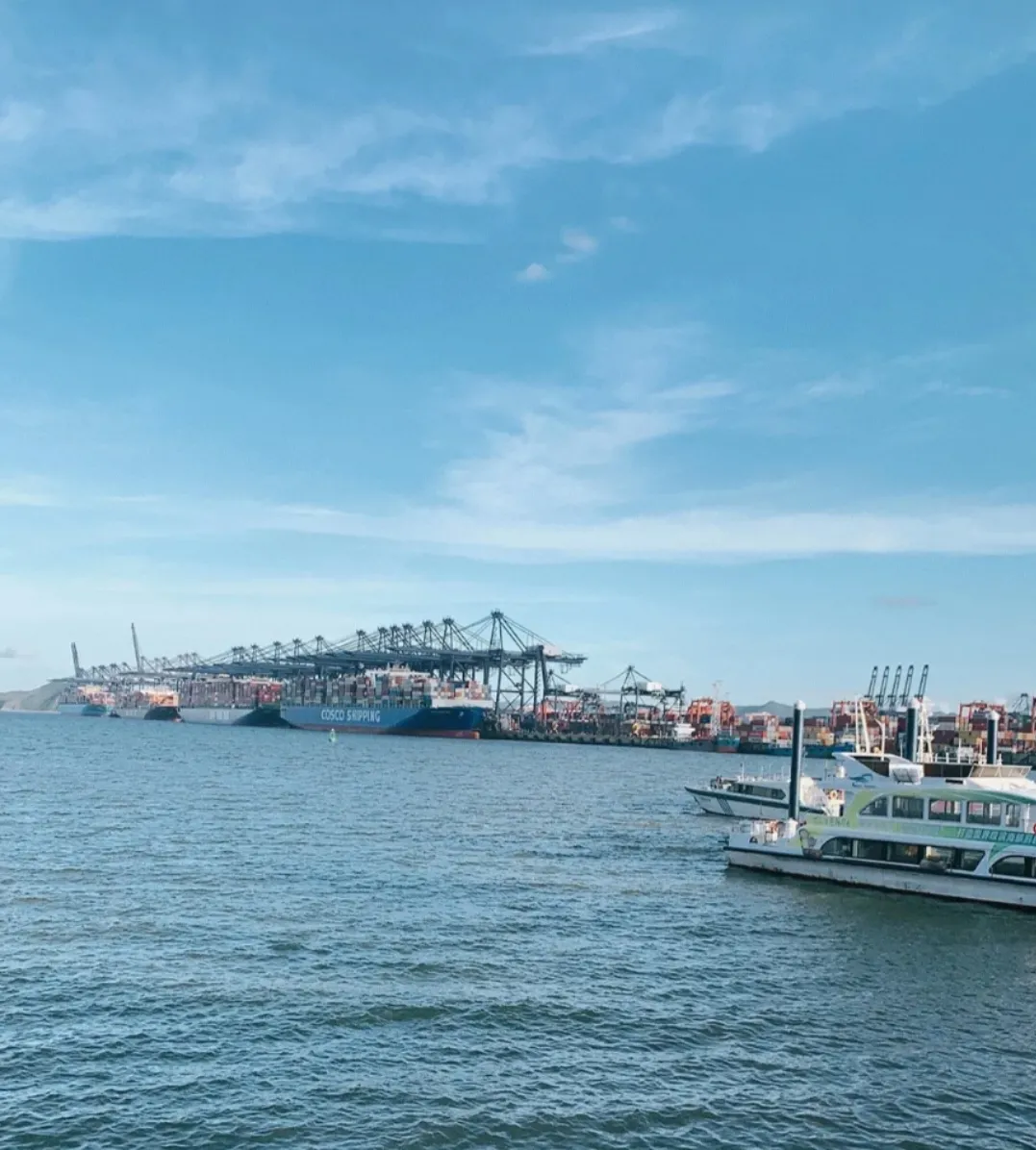 收藏不亏！深圳这5条宝藏夜市美食街，一不小心胖3斤