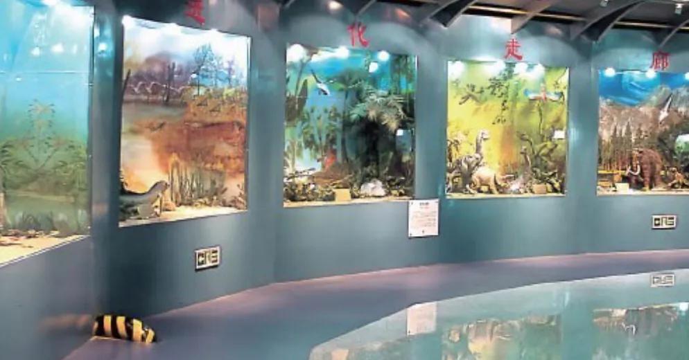 适合夏天游玩的，深圳十大免费室内的好地方