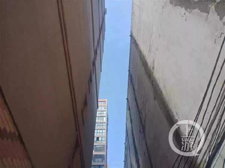 19岁女大学生遭性侵后坠亡，嫌疑人喊人碾尸体伪造交通事故