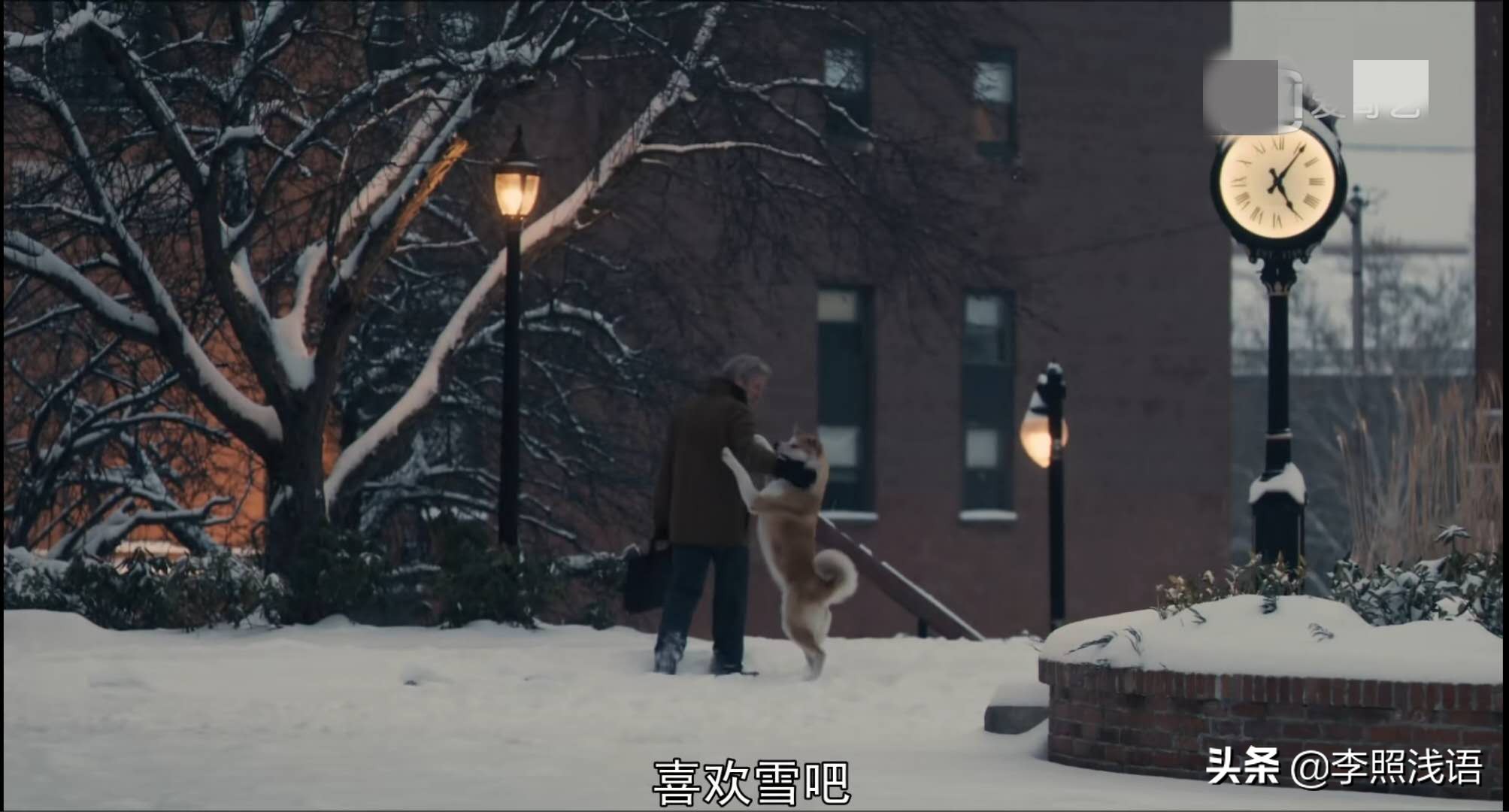 《忠犬八公的故事》：从镜头语言、表现手法、现实意义分析其魅力