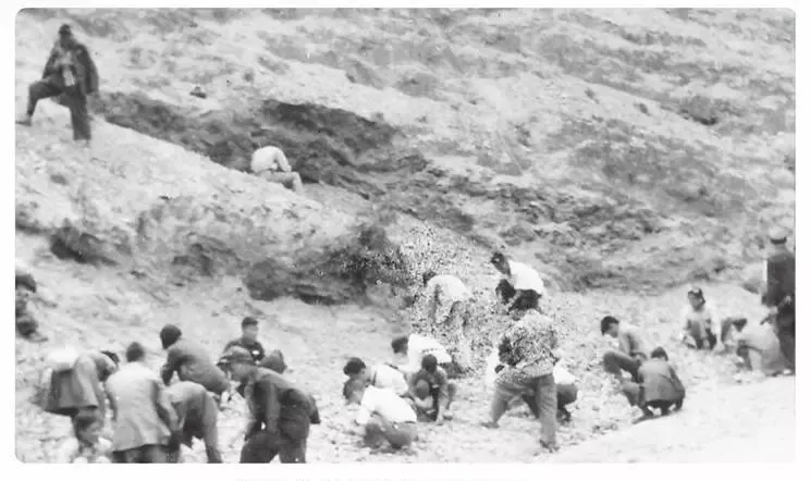 昆明冶金高等专科学校建校69周年 再创辉煌