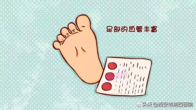 日常采血中的大学问!你都知道吗?