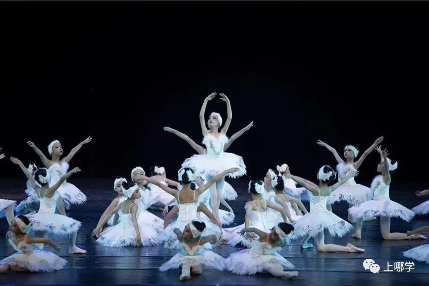 不对口也能进！上海3所优质公办小学非地段录取，今年招生变化大