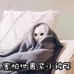 号称“不赚差价”的二手车平台，水深得能养巨齿鲨了