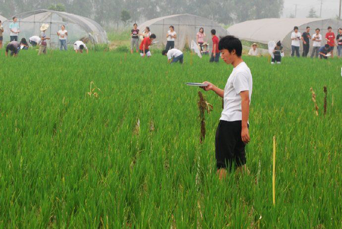 大学奇葩专业大汇总！母猪的产后护理简直弱爆了