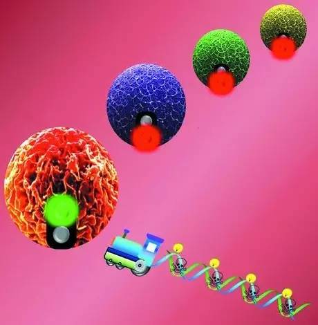 坐享5A级景区，坐拥3条专属地铁线，湖南这所高校获《人民日报》认证！