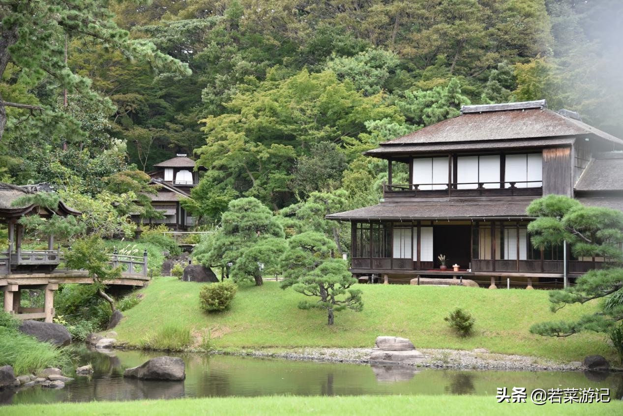 横滨旅行攻略｜八景岛游乐园玩好嗨 体验中华料理店自助餐（下）