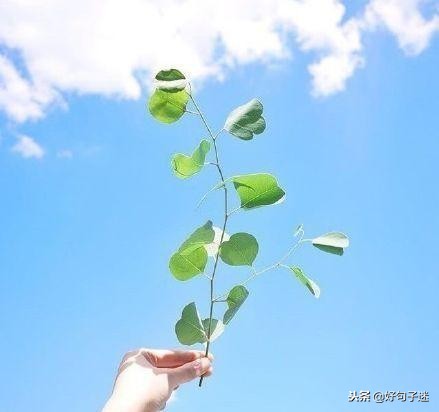 适合发朋友圈的早安短语，很经典很走心，让人忍不住分享！