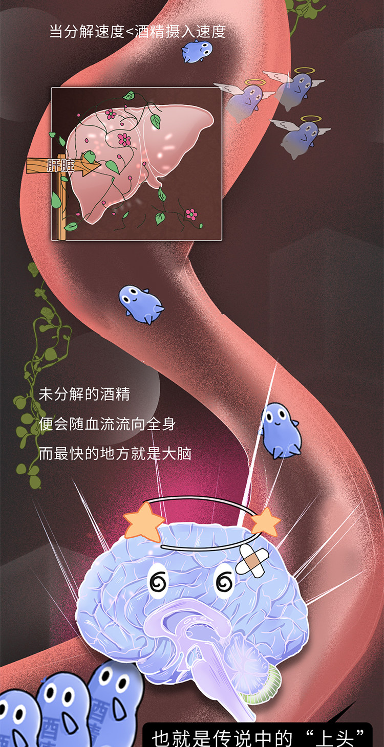 吃什么能快速解酒？蜂蜜、浓茶都没用！真正有效的方法是这2个