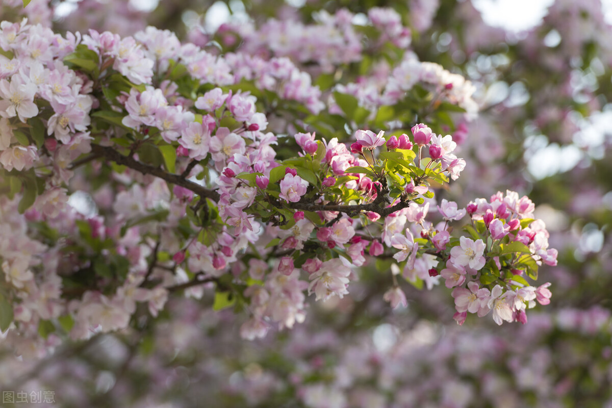 这辈子最幸运的事就是遇见你，在不在一起，我都一样爱你