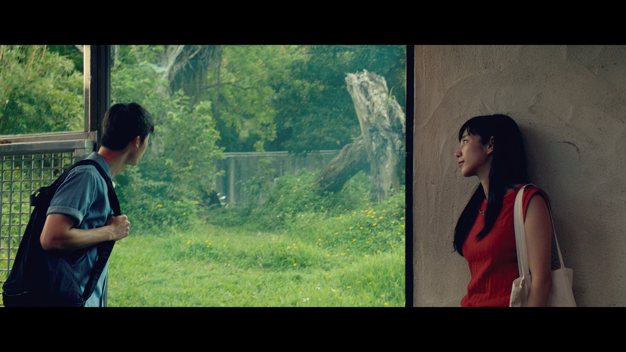 解读《阳光普照》:愿你一生都阳光明媚,却也有阴影可栖