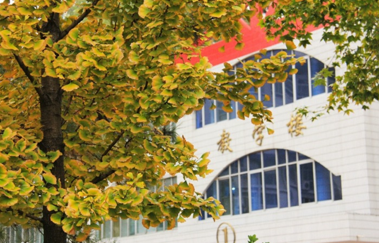 河南高中清北录取人数前四强，郸城一中32人录取居第二