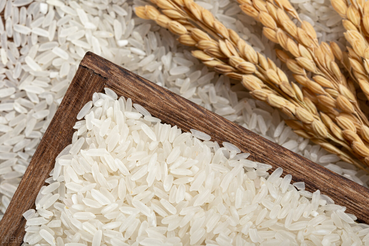 粮价、肉价预警：小麦“高开低走”，玉米水稻也跌，羊价也下滑