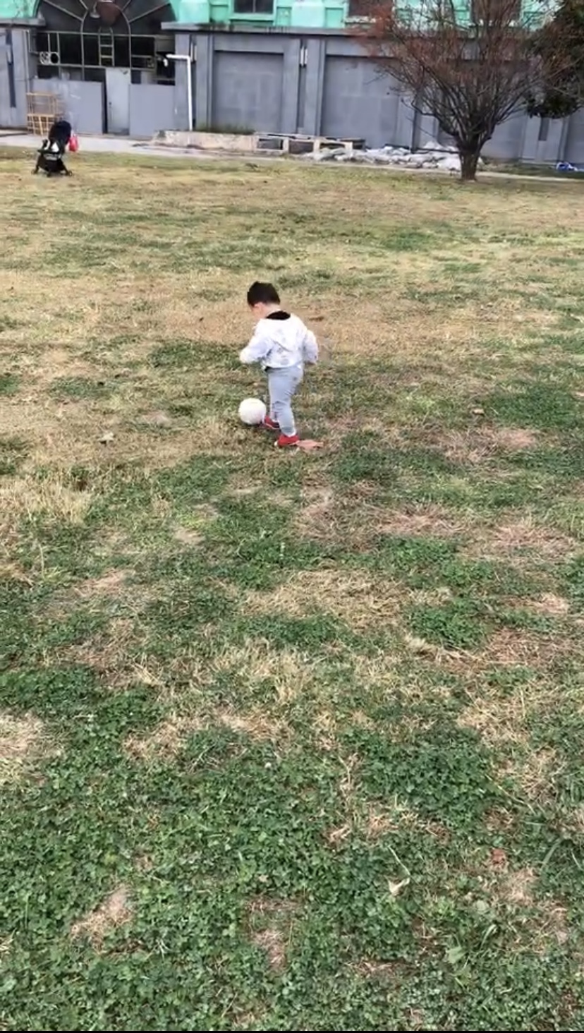 萌育感·第一期周记20201115~20201121