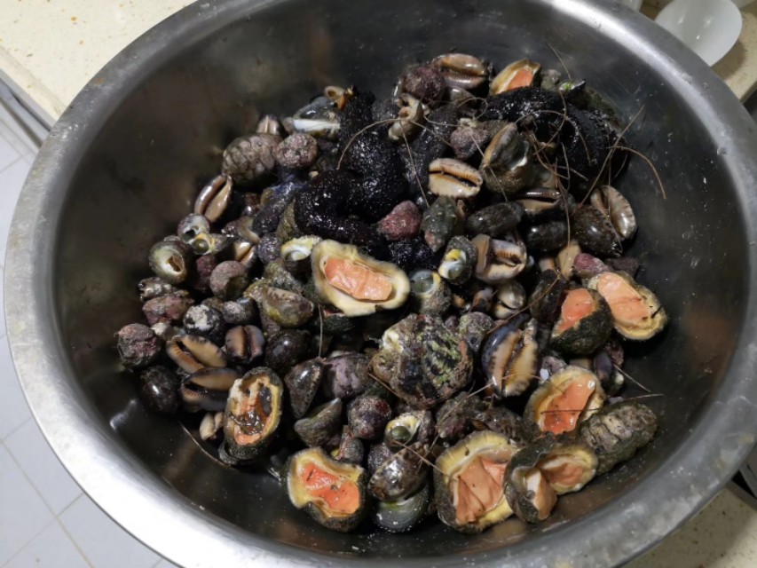 石鳖价格五一到了