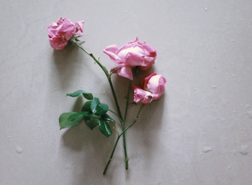 七篇中考高考满分作文：关于感恩，关于快乐，关于爱