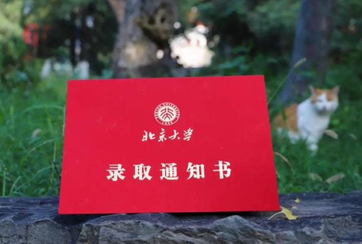 2021年云南高考“捡漏王”，521分被北大录取，真是上帝的宠儿