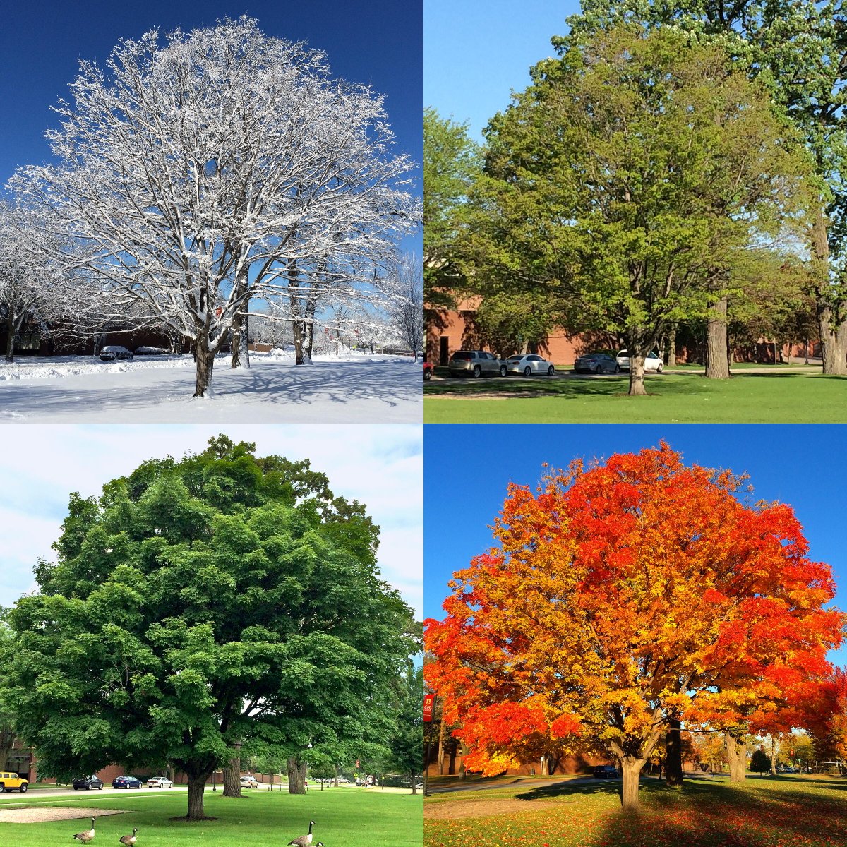 diy创意纸盘手工,手绘旋转的四季,陪娃就是这么简单