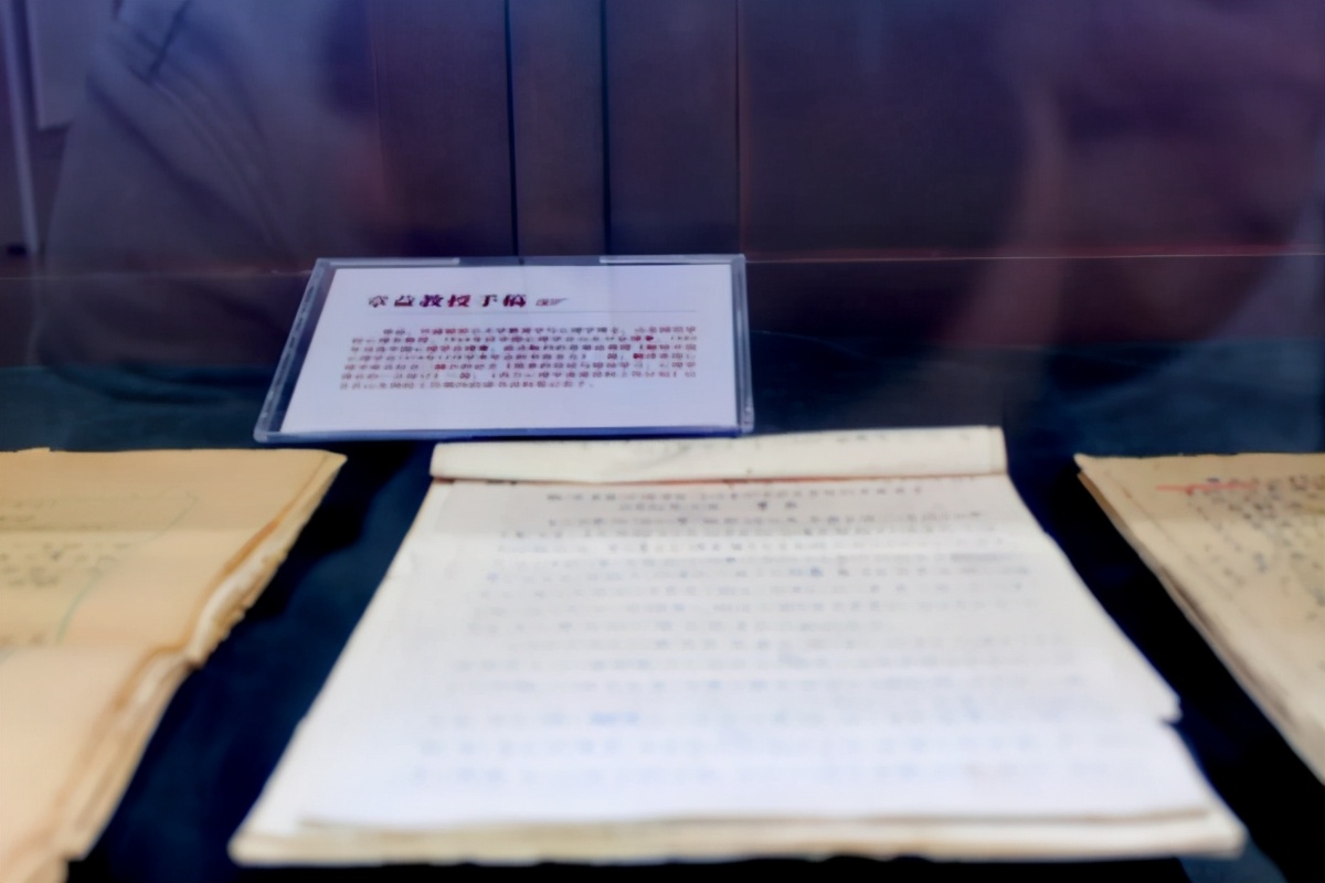 造型新奇，馆藏丰富，5万多平方米，山东这座图书馆“火”了