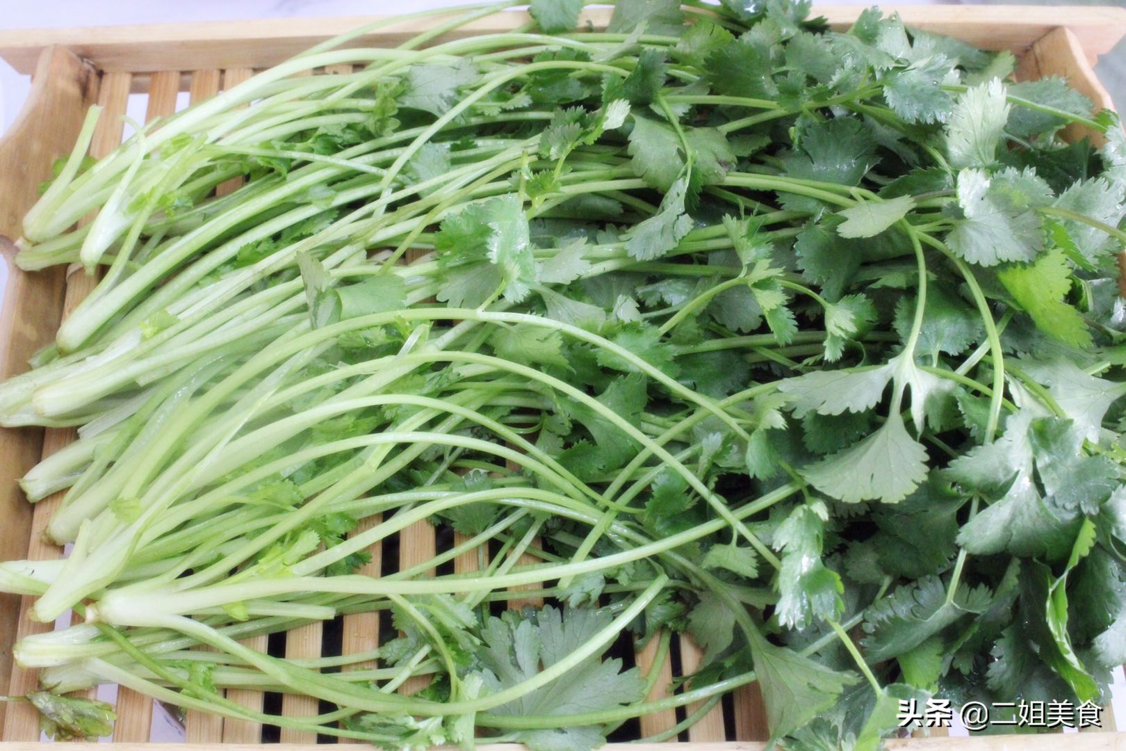 原来保存香菜这么简单，老农教您2个土方法，放久不坏，不怕多买