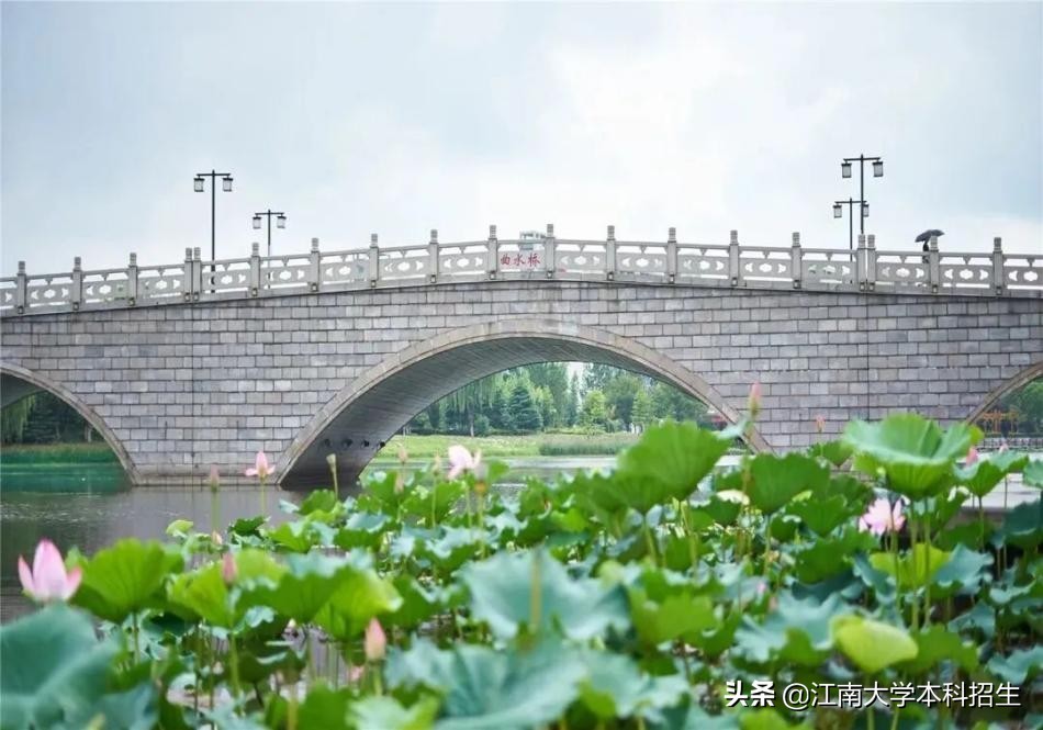 中国“最美”大学之一！占地3250亩，分布10万余棵植物，上学就像度假！