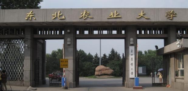 笑死人不偿命的东北地区大学别称，哈工大被称作排水沟？